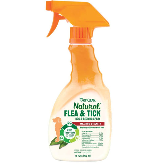 1ea/16 fl oz