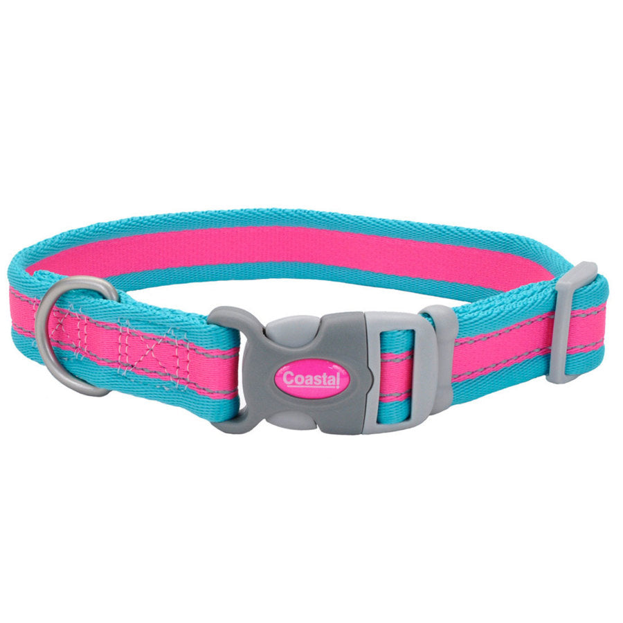 Fuscia, Teal, 1ea/1 In X 14-20 in
