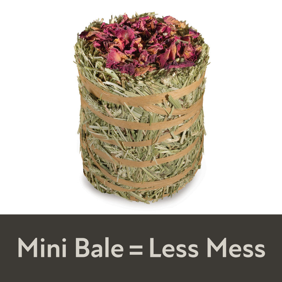 Rose, 1ea/3.5 oz