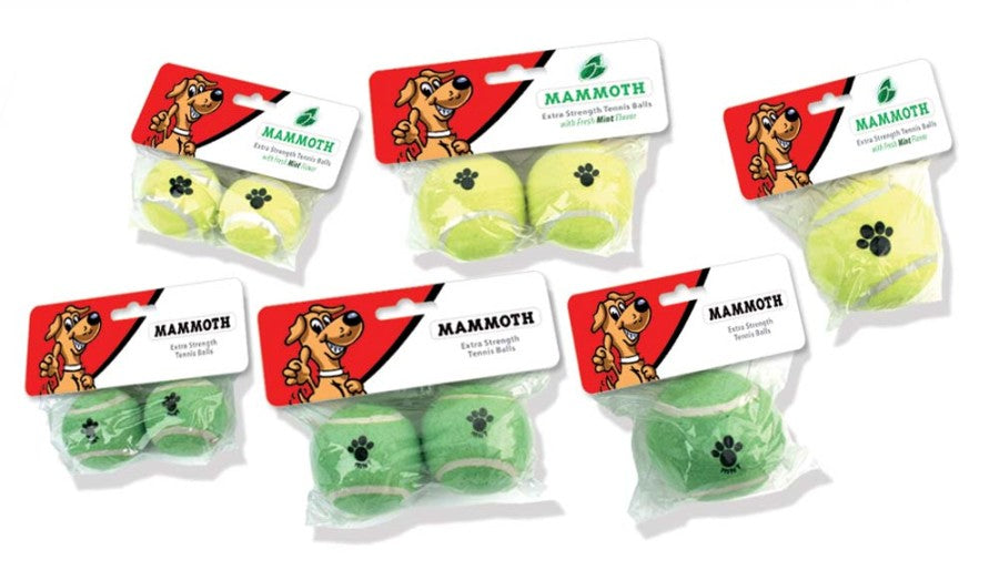 Assorted, 1ea/One Size