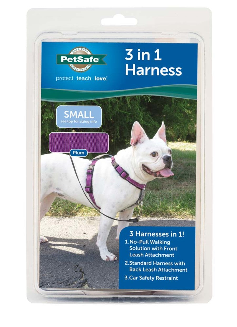 Plum, 1ea/SM