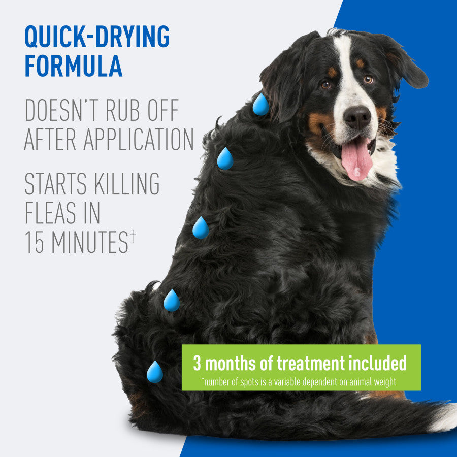 3 Month Supply, 1ea/XL Dogs 61 To 150 lb