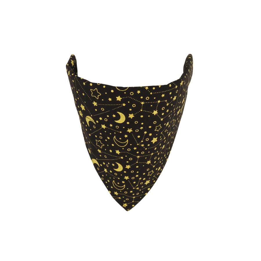Bright Black Galaxy, 1ea/7In X 10 in