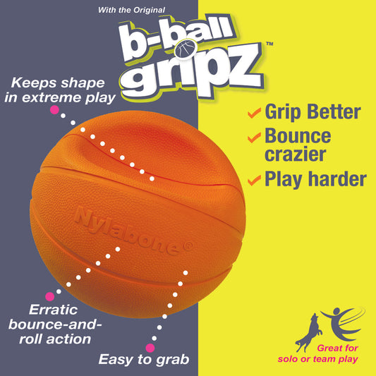 Basketball, 1ea/Large (1 ct)