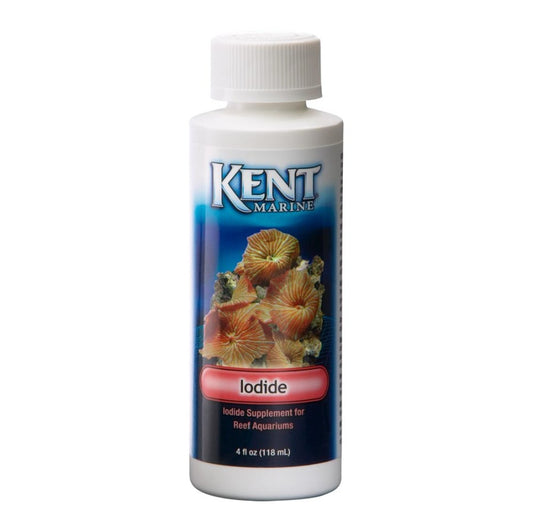 1ea/64 fl oz