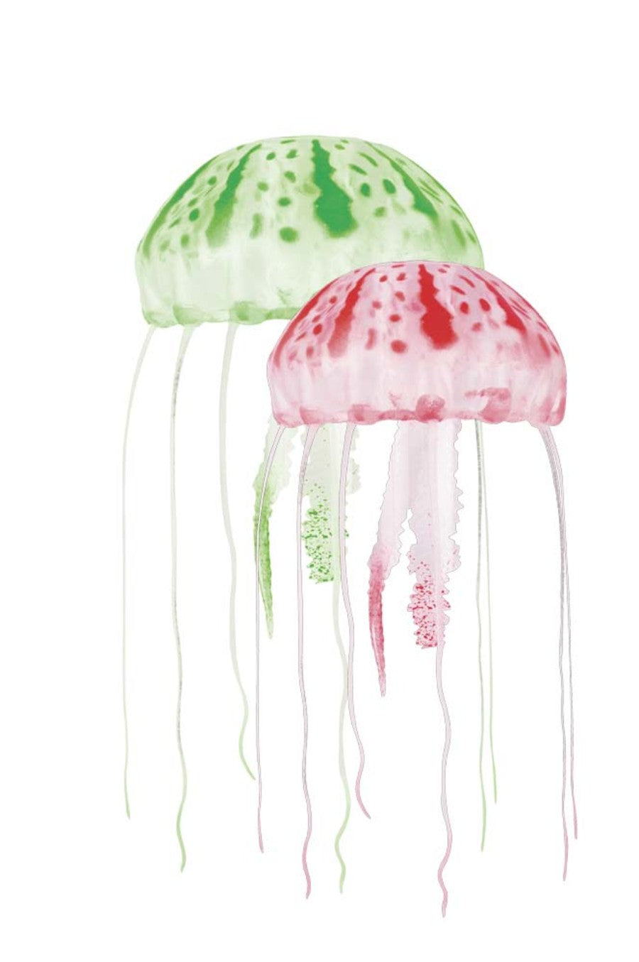 Green/Red, 1ea/2 In & 3 in, 2 pk