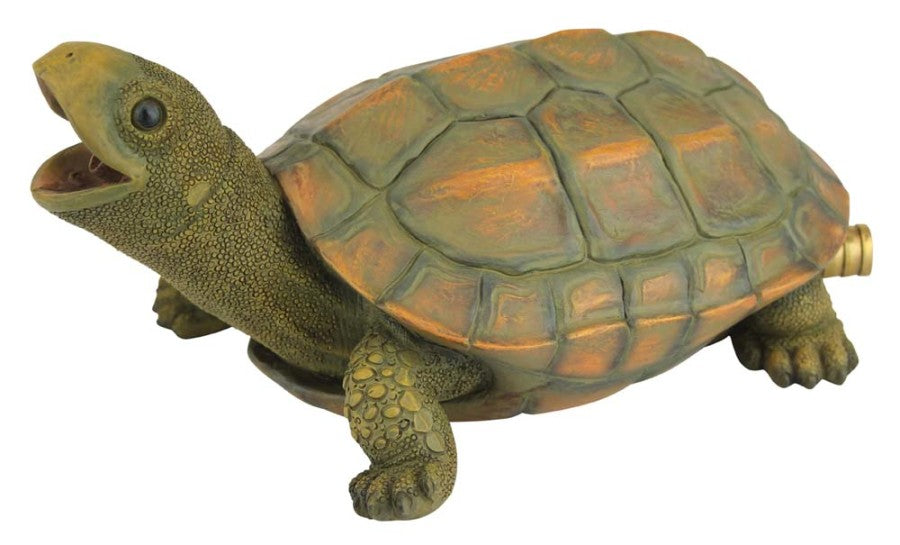 Turtle, Green, 1ea