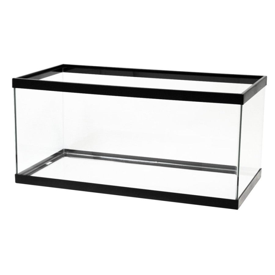 Clear Silicone, Black, 1ea/40 Breeder