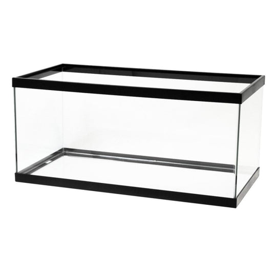 Clear Silicone, Black, 1ea/40 Breeder