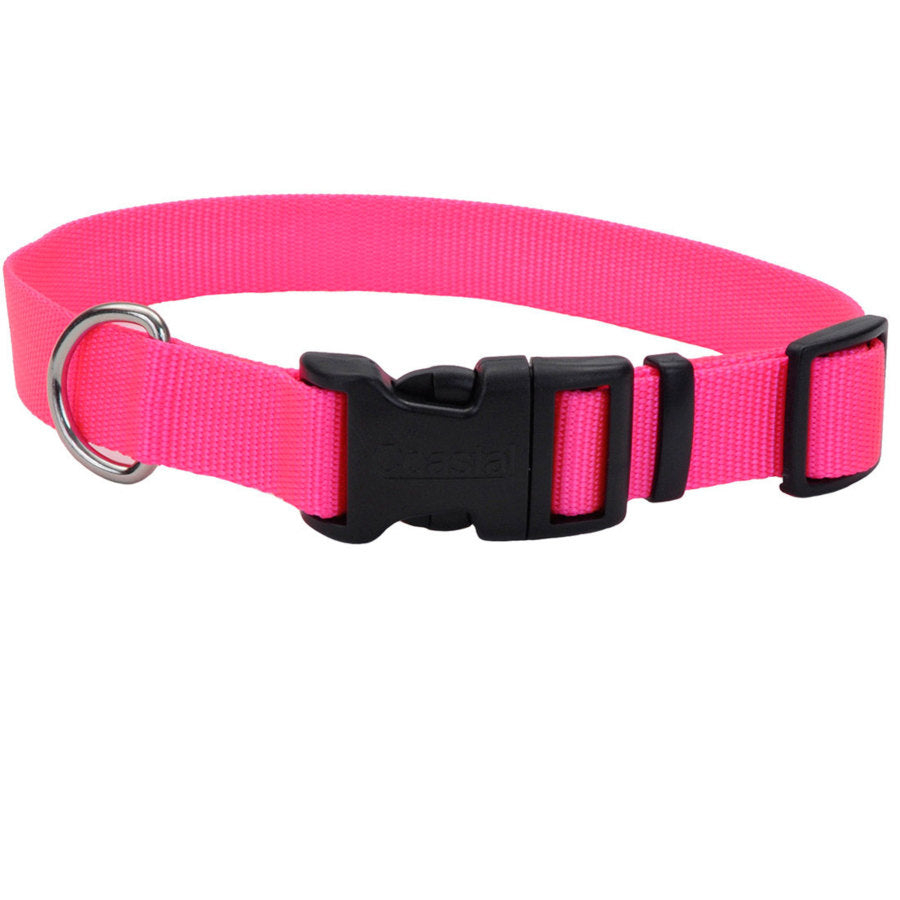Neon Pink, 1ea/3/8 In X 8-12 in