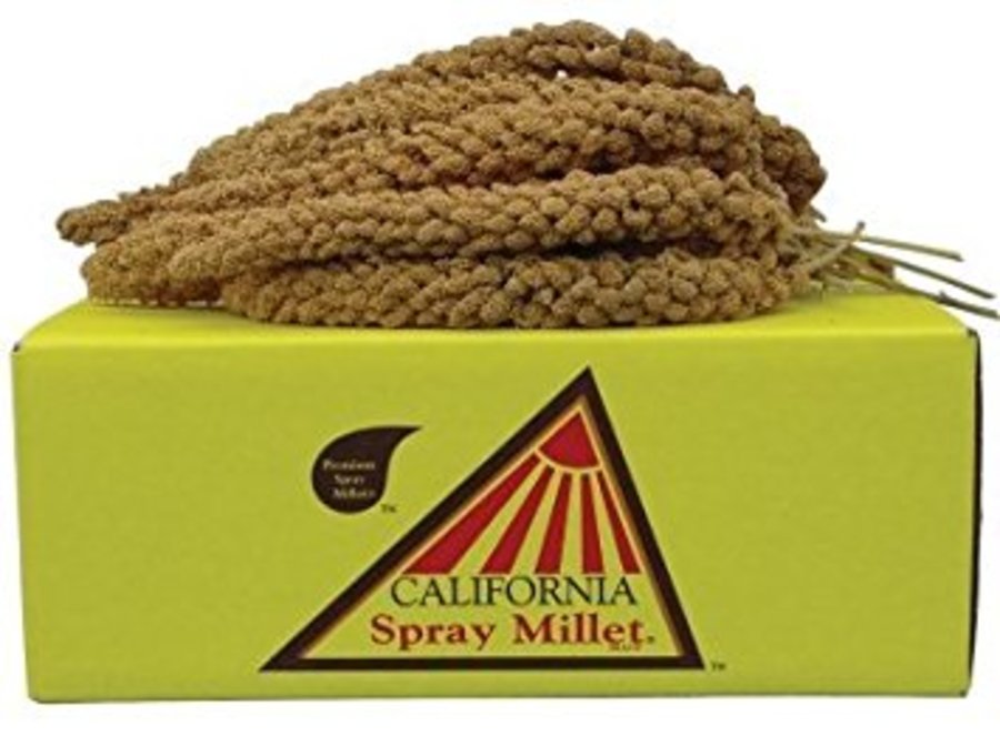 1ea/5 lb