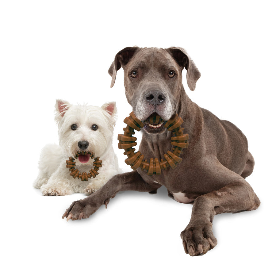 Ring, Flavor Medley, 1ea/SMall/Regular (1 ct)