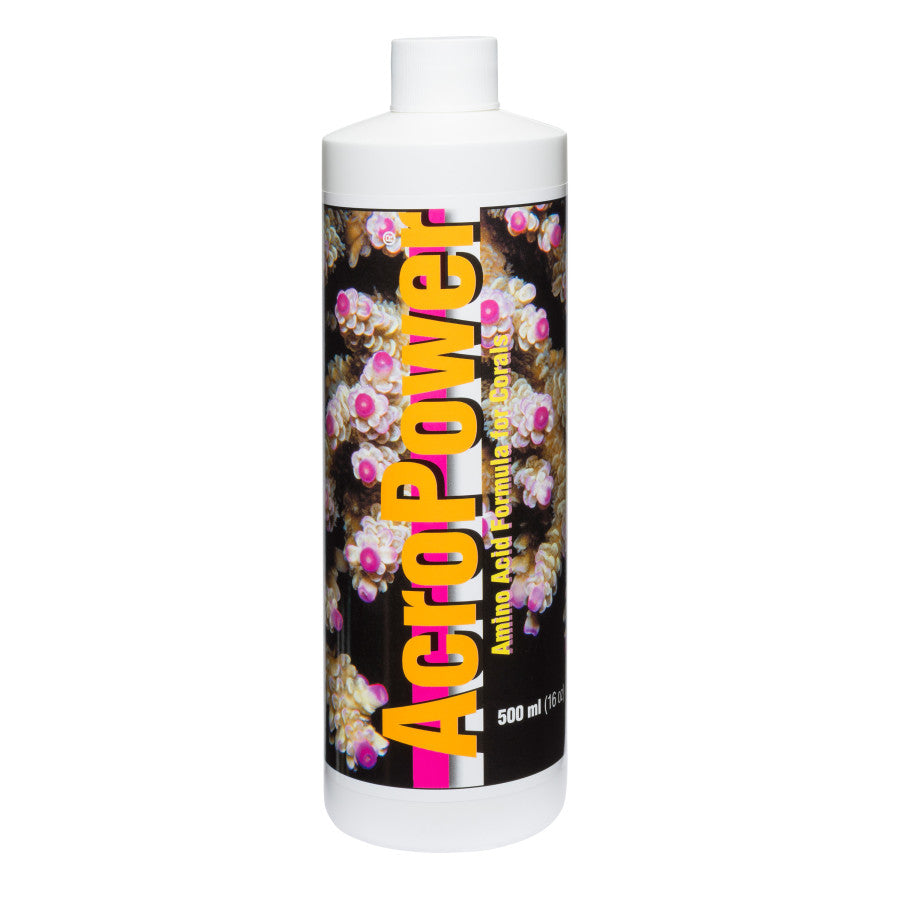1ea/16 fl oz
