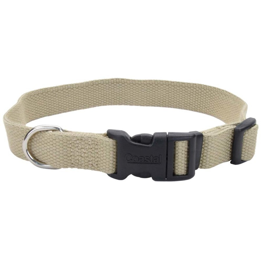 Olive, 1ea/3/4 In X 12-18 in