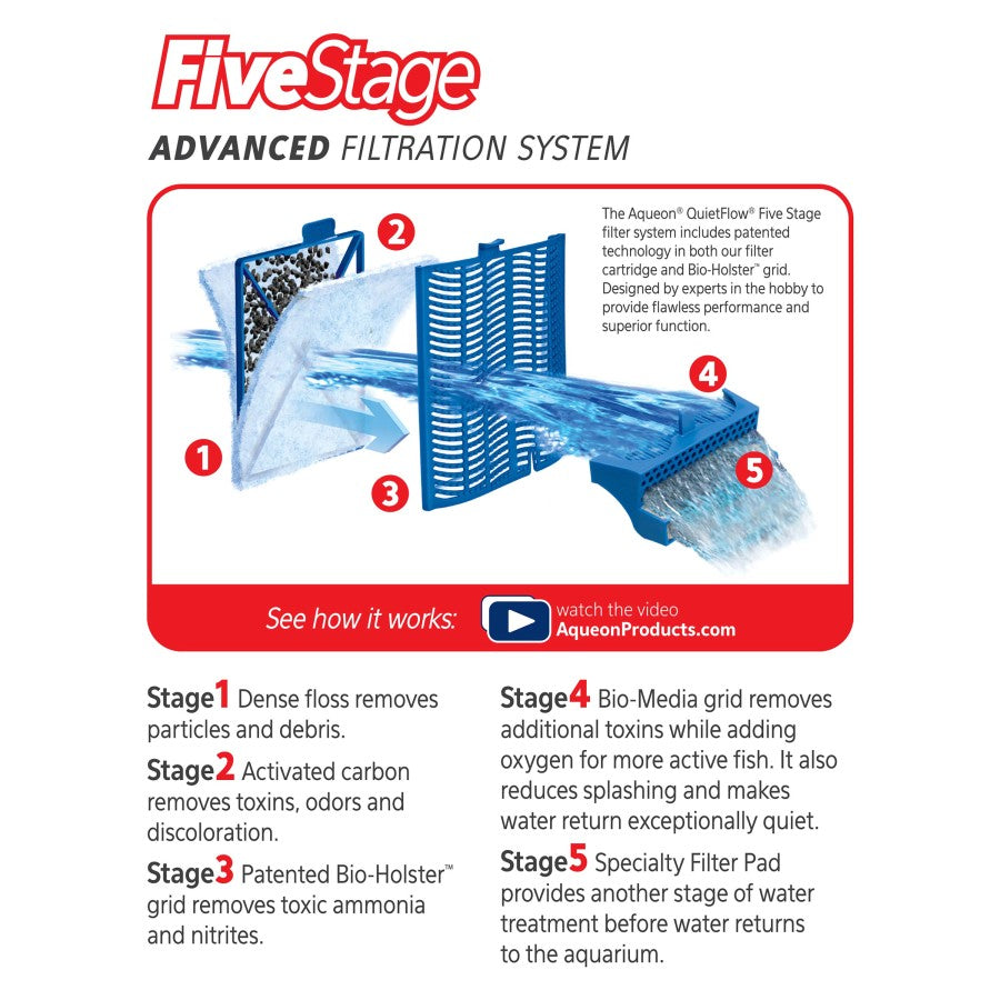 1ea/Large - 12 pk