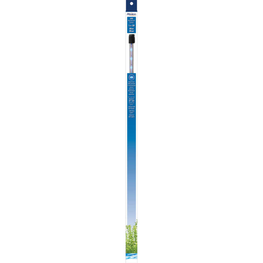 Blue, 1ea/30 in