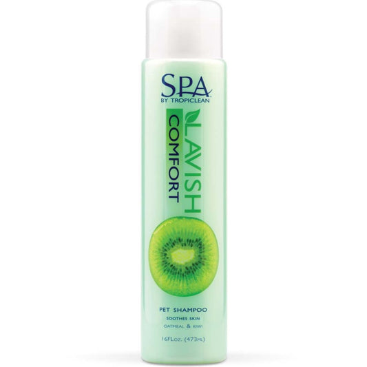 1ea/16 fl oz