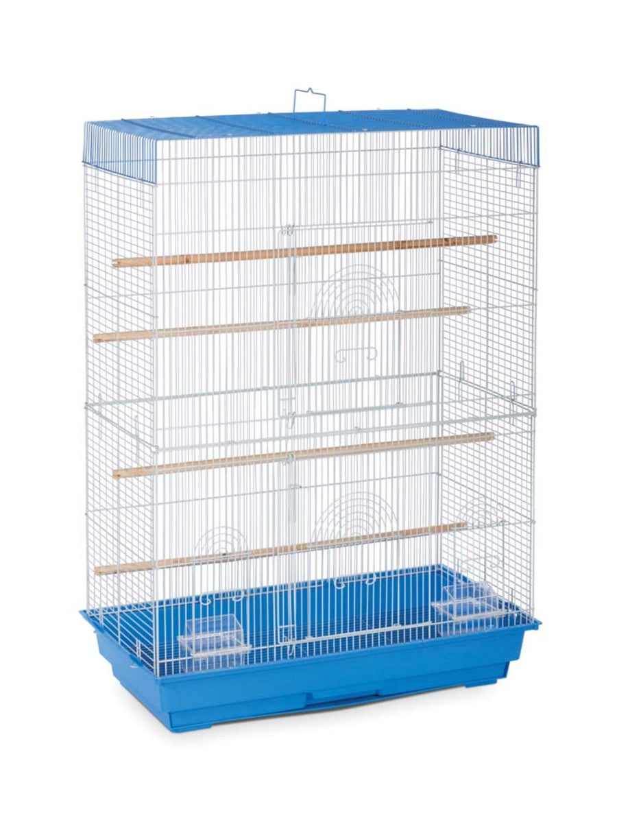 White/Blue, Black/Brown, 2ea/2 pk