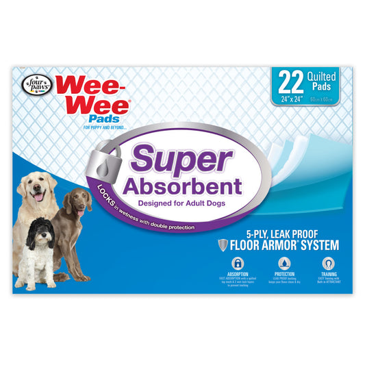 Super Absorbent, 1ea/22 ct