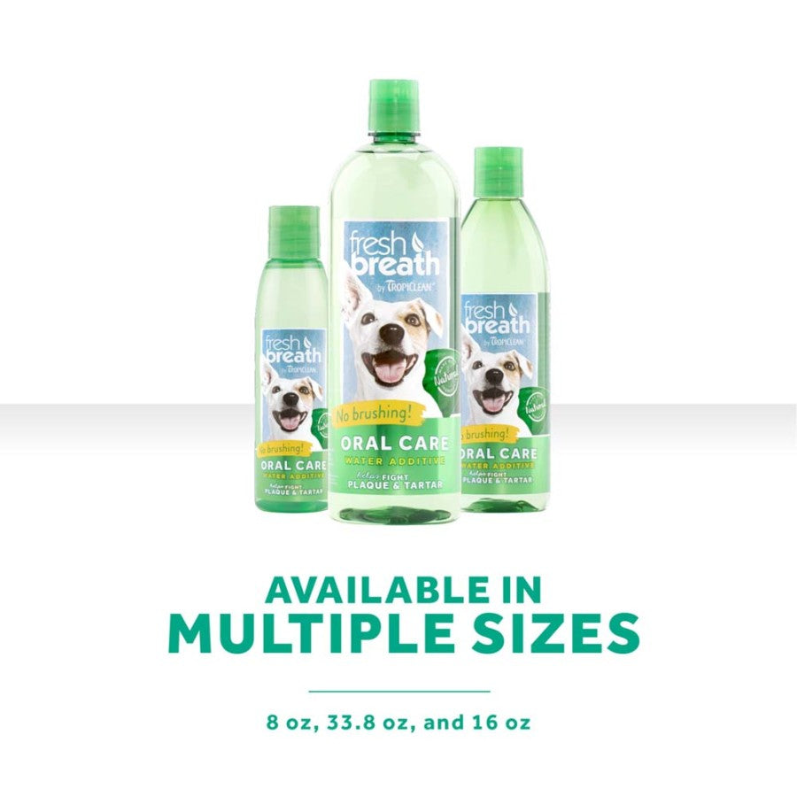 1ea/16 fl oz