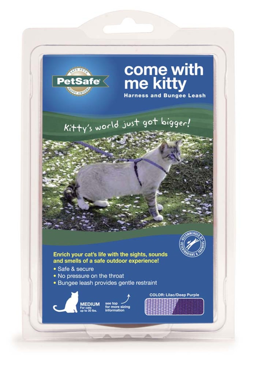 Lilac/Deep Purple, 1ea/MD