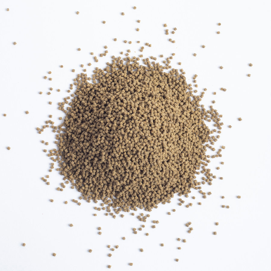 1ea/Medium - 3.6 oz