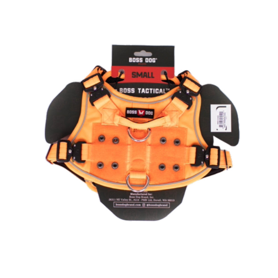 Hunter Orange, 1ea/SM