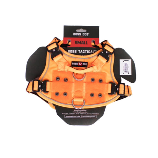 Hunter Orange, 1ea/SM