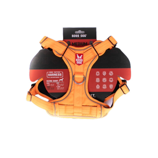 Hunter Orange, 1ea/MD