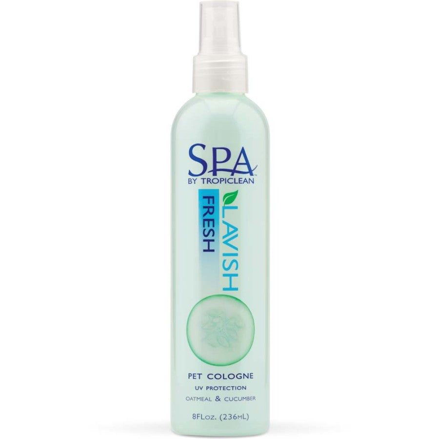 1ea/8 fl oz