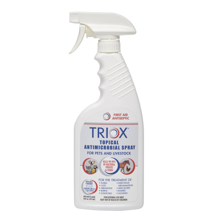 1ea/16 fl oz