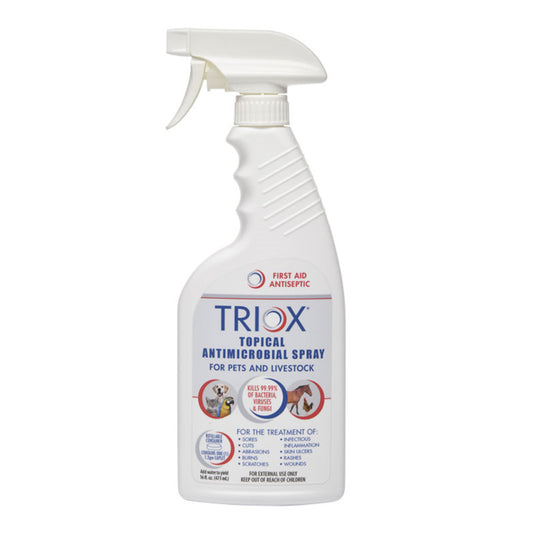 1ea/16 fl oz