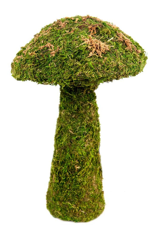 Fresh Green, 1ea/11 in, SM