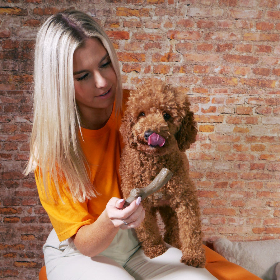 Stick, Peanut Butter, 1ea/Medium/Wolf (1 ct)