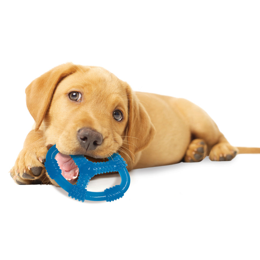 Tug & Spin, 1ea/Medium/Wolf (1 ct)