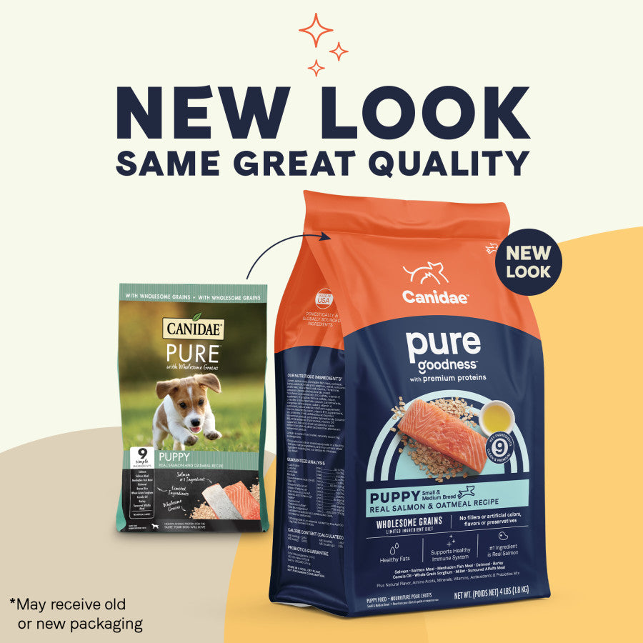 Salmon & Oatmeal, 1ea/4 lb