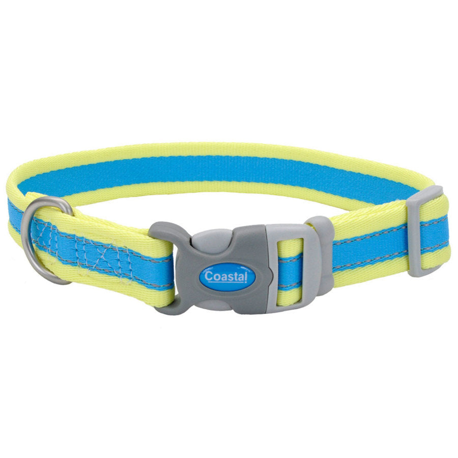 Aqua, Neon Yellow, 1ea/3/4 In X 10-14 in