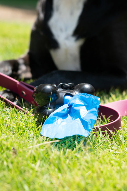 Waste Bags, 1ea/30 ct