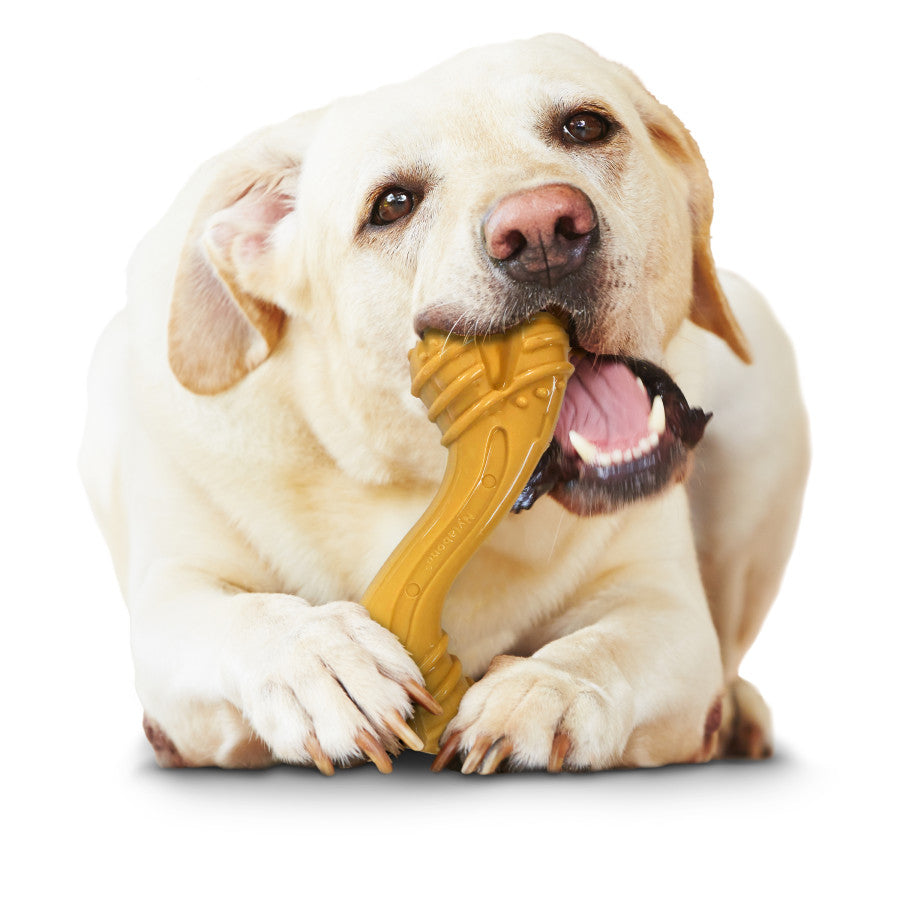 Peanut Butter Flavor, 1ea/Giant - Up To 50 lb