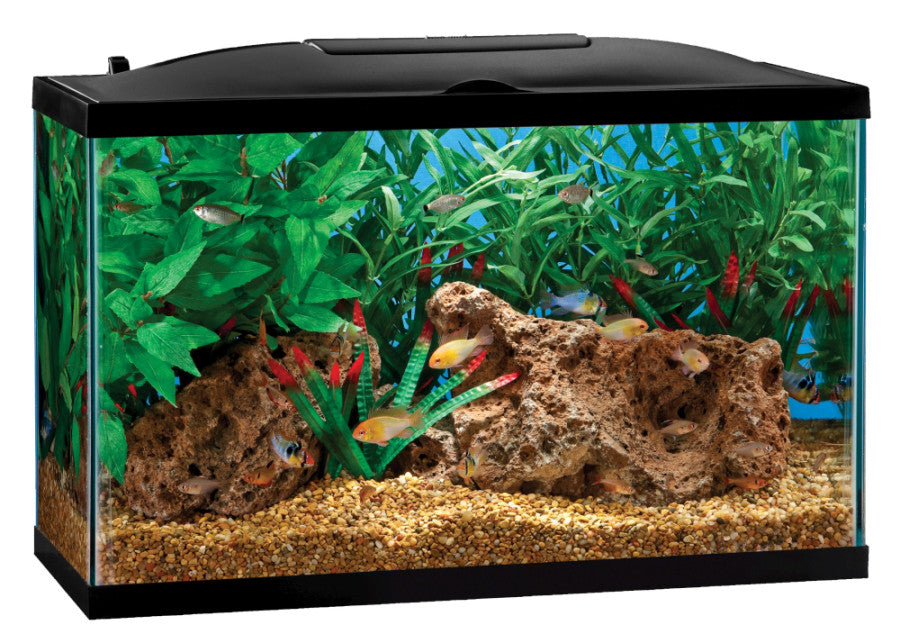 Black, Clear, 1ea/29 gal