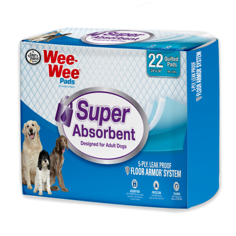 Super Absorbent, 1ea/22 ct