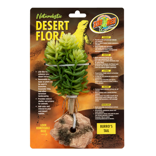 Burro's Tail, 1ea/One Size