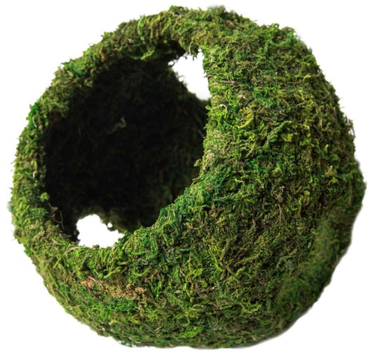 Fresh Green, 1ea/8 in