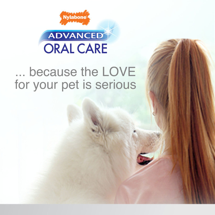 Ultra-Soft, 1ea/Senior Dog (3 ct)