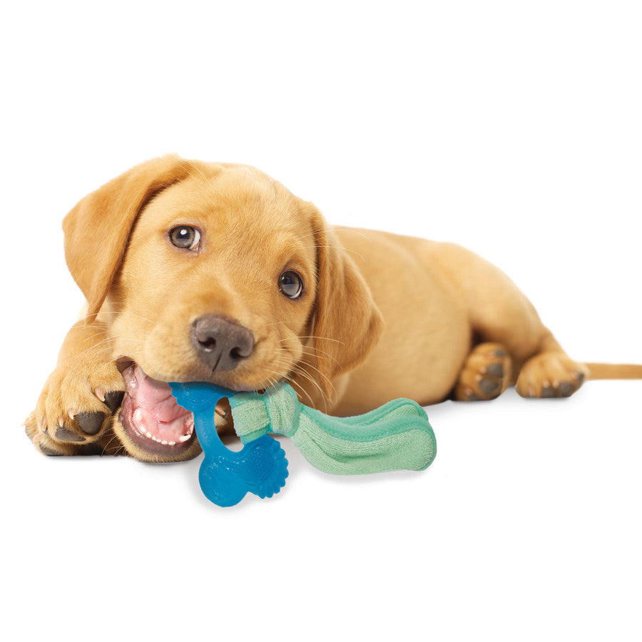 Puppy, Peanut Butter, 1ea/SMall/Regular (1 ct)