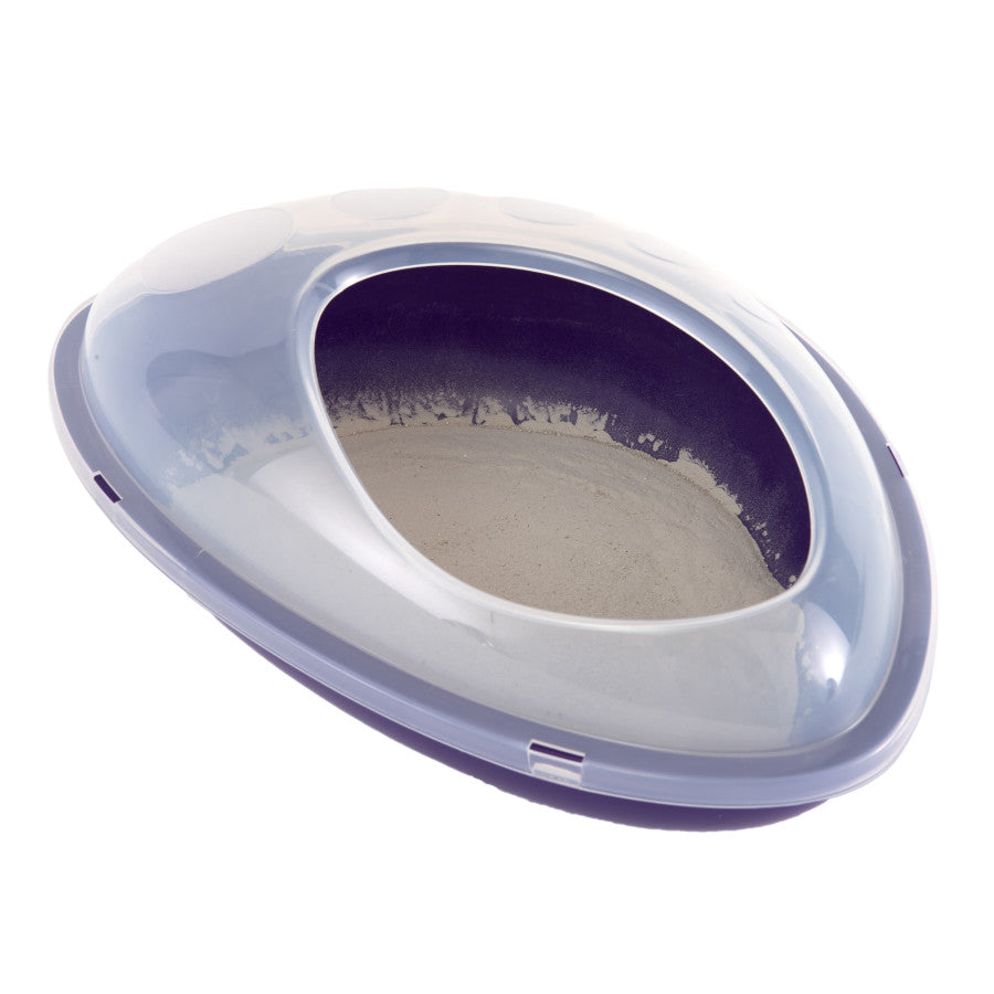 Blue, Clear, 1ea/One Size