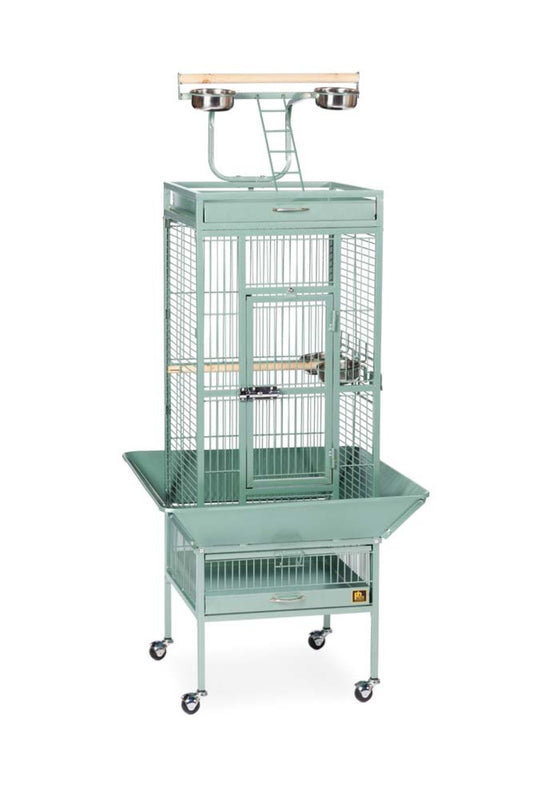 Sage Green, 1ea