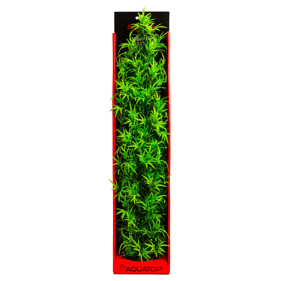 Green, 1ea/24 in