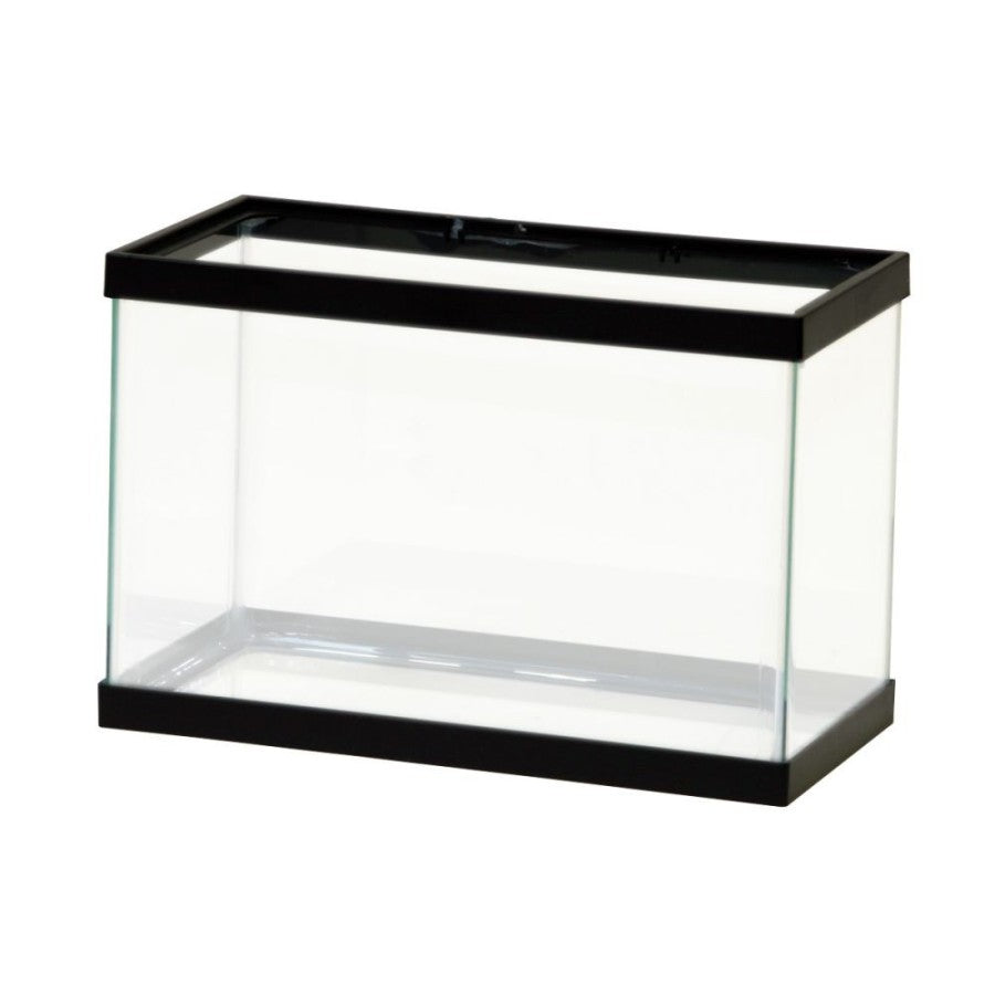 Clear Silicone, Black, 1ea/2.5 gal