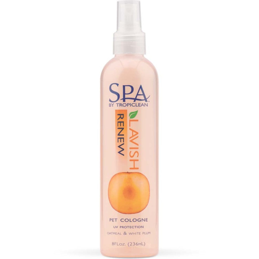 1ea/8 fl oz